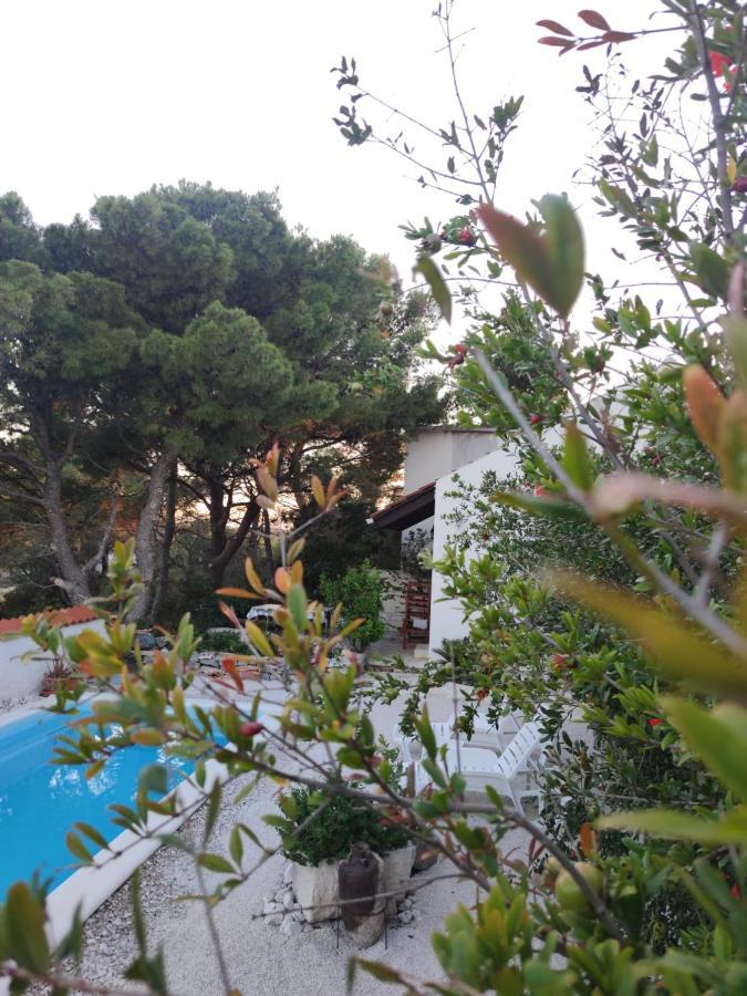Vacation House Milka Milna  Dış mekan fotoğraf