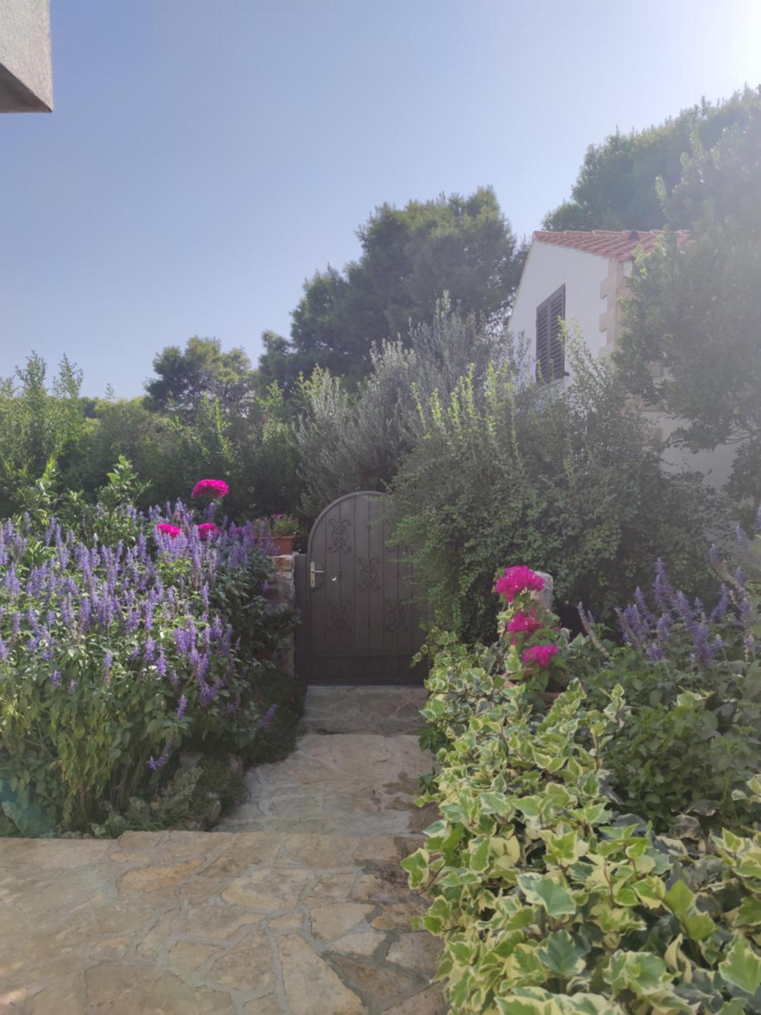 Vacation House Milka Milna  Dış mekan fotoğraf